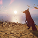 Ghost of Tsushima